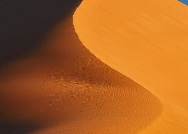 Dune #35