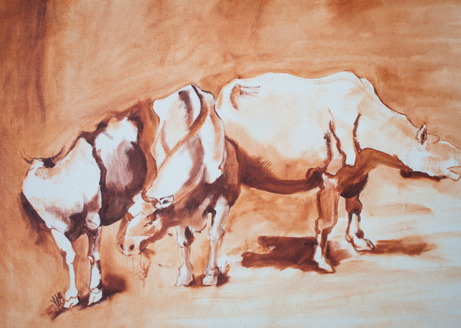 Bulls And Cow  Art | Dappled Light Gallery