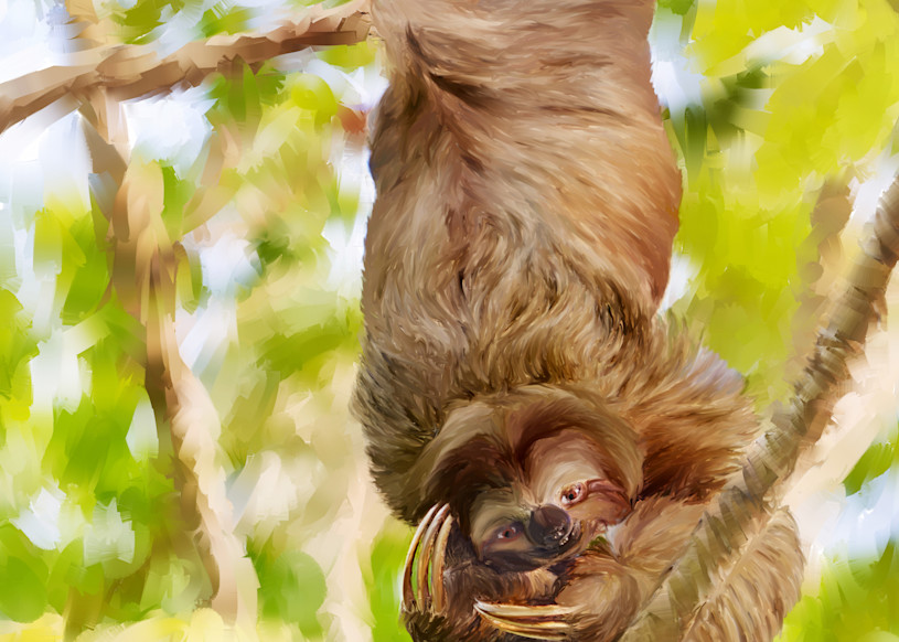 Sloth Art | Rick Peterson Studio