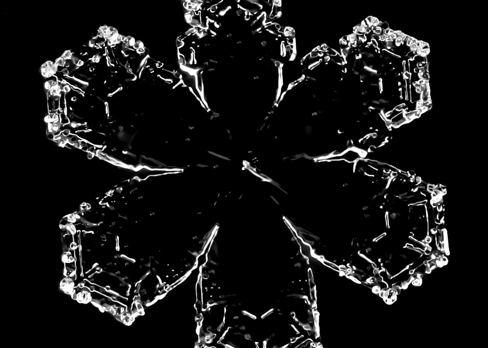 Black and White Flower Real Snowflake