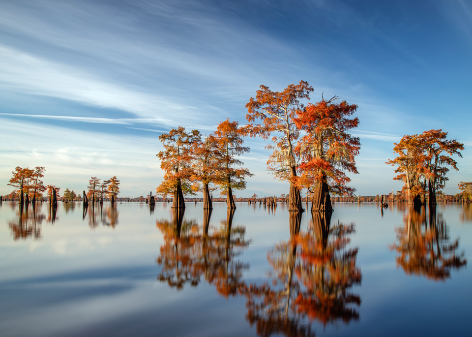 Reflections of a Louisiana Autumn - Louisiana Swamp fine-art photography prints