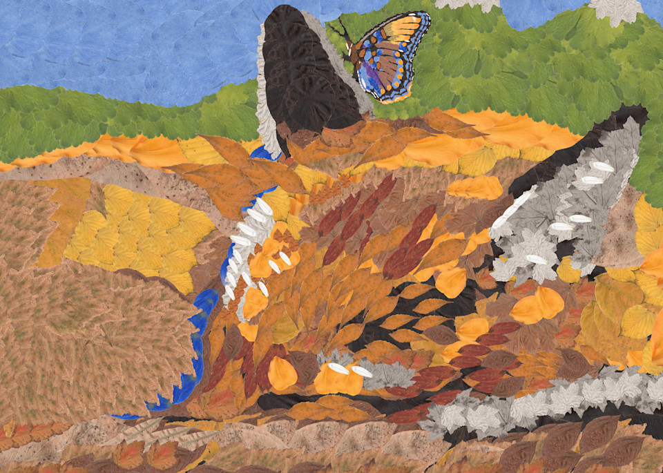 Fox And Butterfly Art | smacartist
