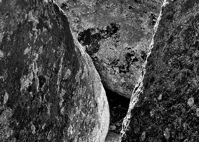Mossy Rocks At Taft Point Art | Art by Arden