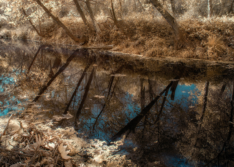 Reflections, Dry Creek Inlet Photography Art | davidarnoldphotographyart.com