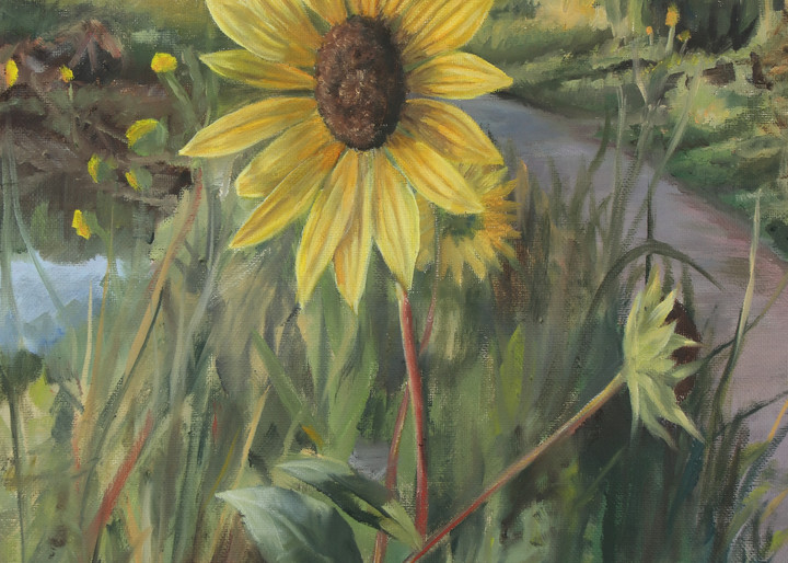 River Bend Sunflowers (Print) Art | mizrahiarts