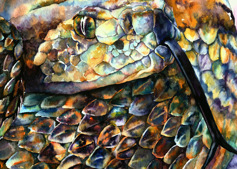 Rattlesnake in Desert Colors