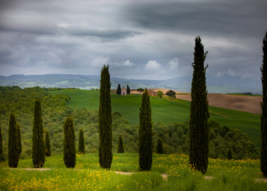Fields Of Tuscany  Photography Art | Mark Nissenbaum Photography