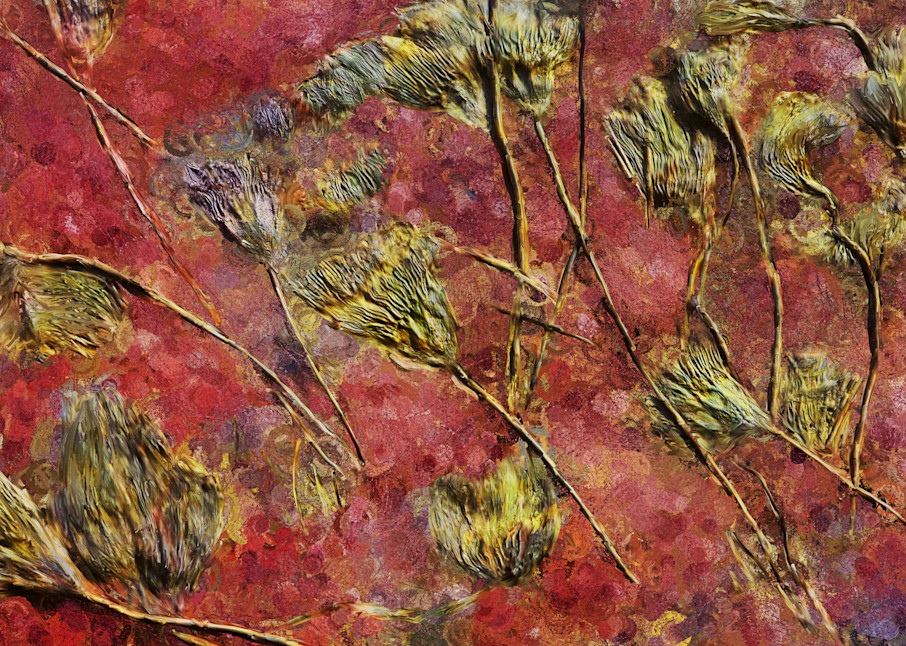 Fossil Flowers Art | Rick Peterson Studio