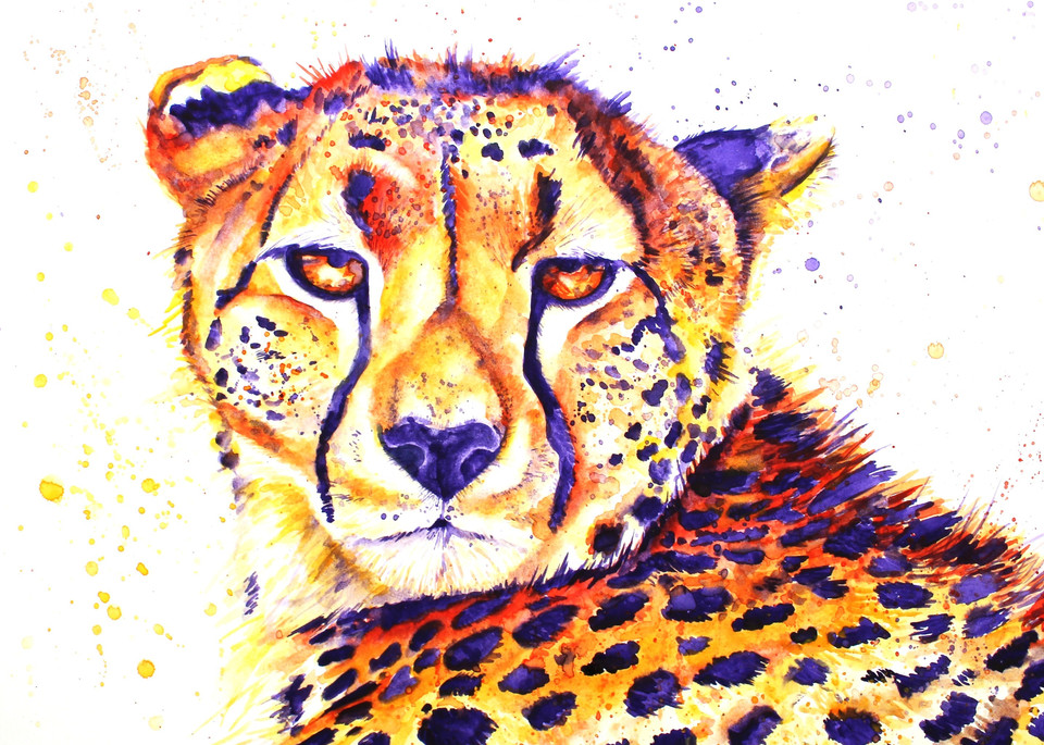 Safari Collection - Cheetah