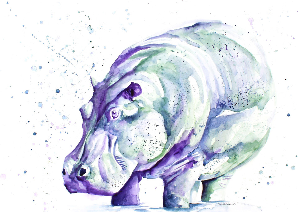 Safari Collection - Hippo