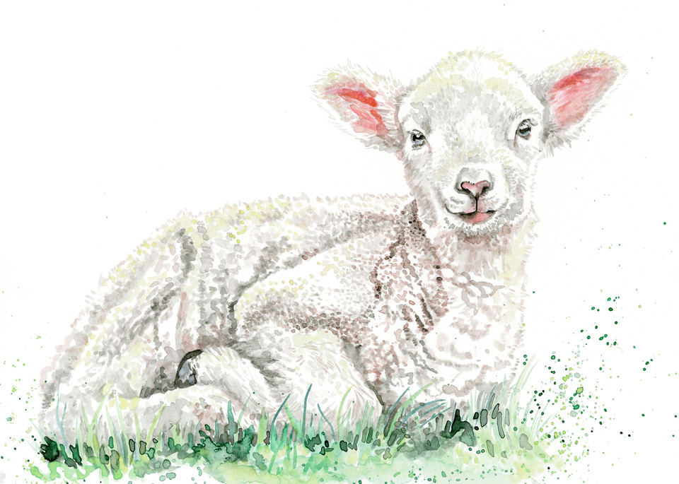 Nursery Prints - Laying Lamb