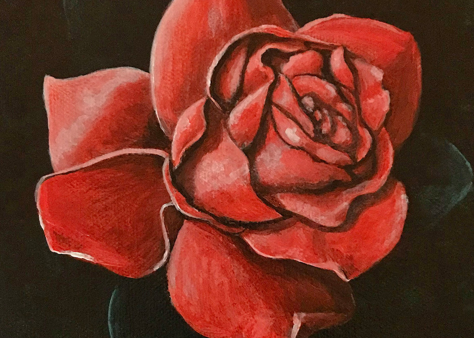 Linda Storm Art | Moonlit Red Rose | Prints