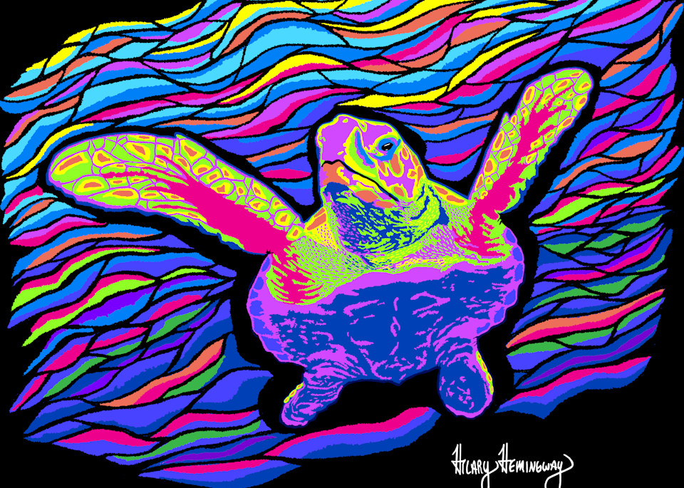 Turtle Swimming (Sg) Art | Hilary Hemingway Art