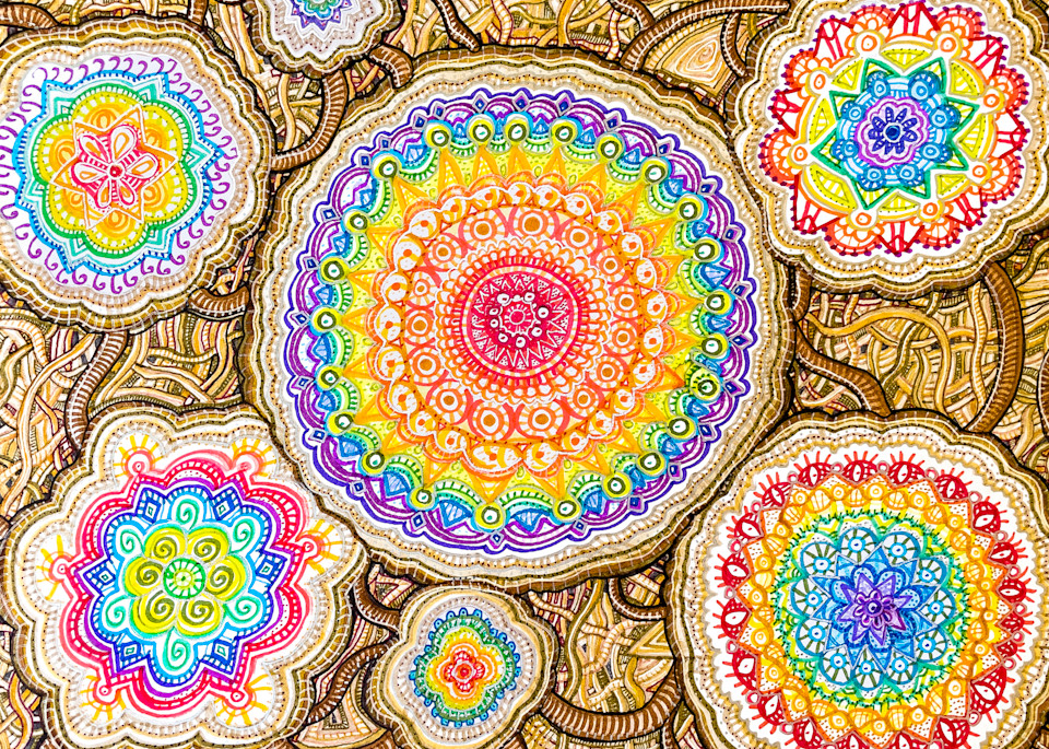 Gift Shop: Comfort Frequencies