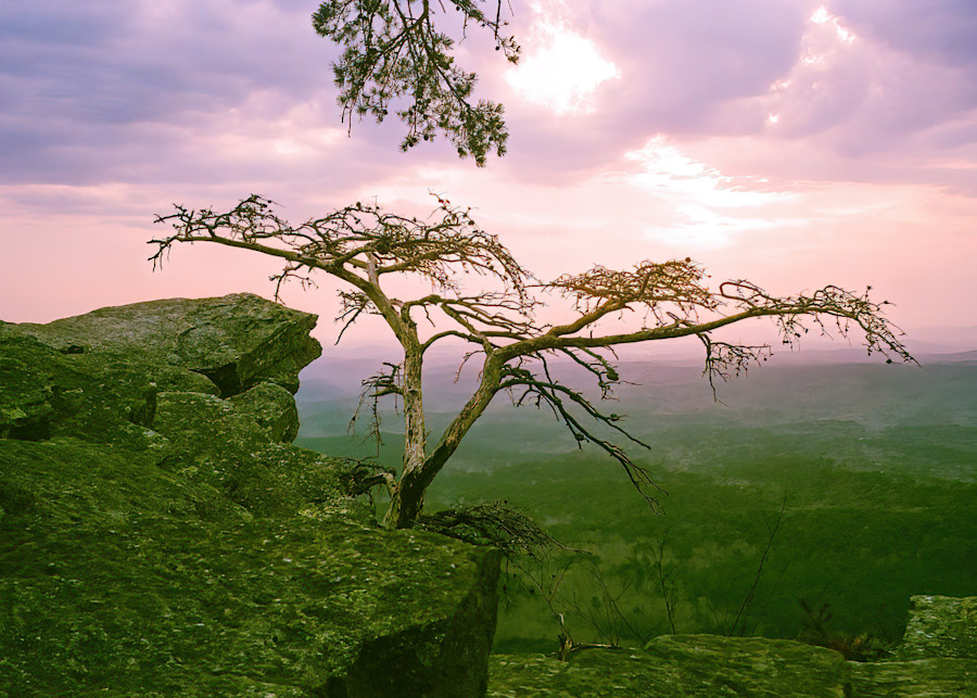 Film photograph image of Pulpit Rock in Cheaha State Park.