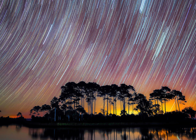 Star Trails Along Florida's Nature Coast Night-scape