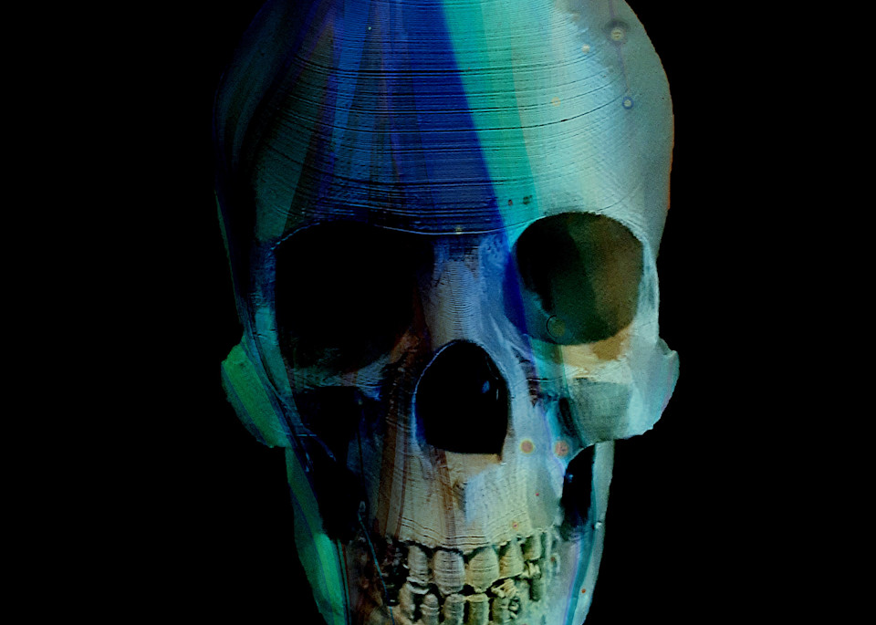 Painted Skull No  114 Art | KD Neeley, Artist