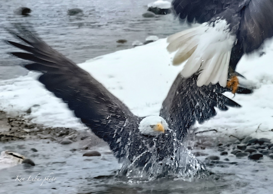 Splashdown Photography Art | Art Beyond Control