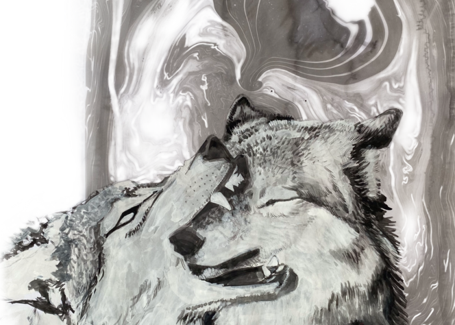 Wolf Play Art | lauraeliason