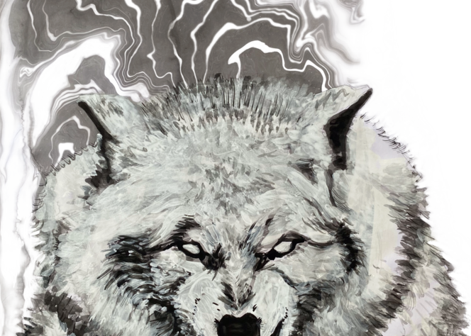 Wolf Reprimand Art | Laura Eliason