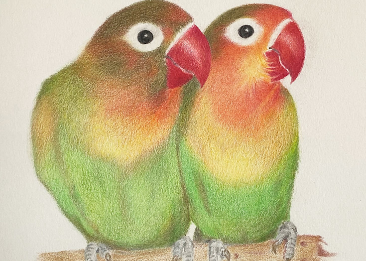 Love Birds Valentines Art | Kathleen Slaven Art