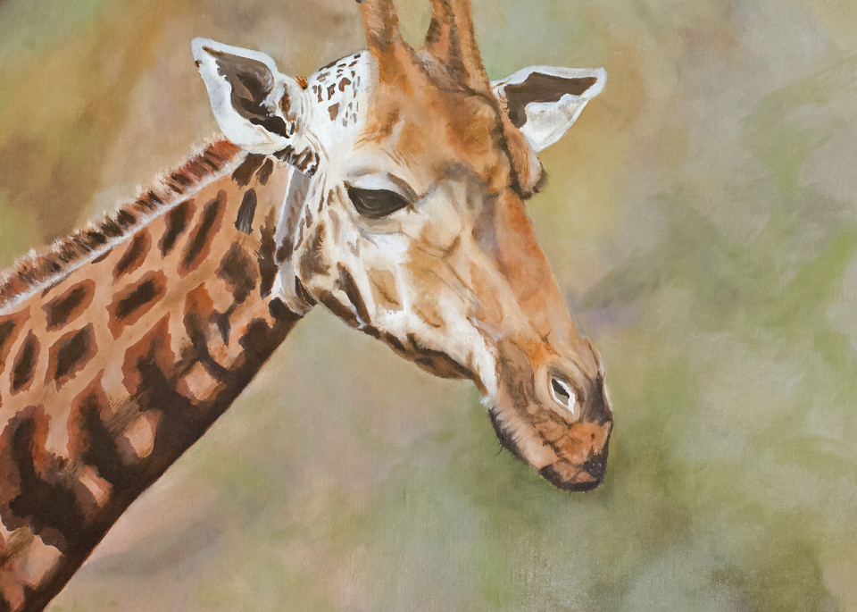 Contemplative Giraffe Oil Painting Print