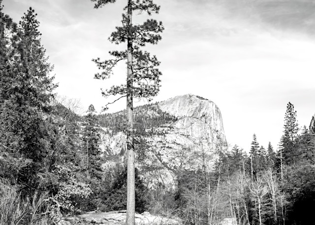 Sierra In Black And White Photography Art | Erin Donalson Photography