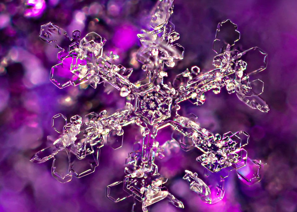 Snowcrystal On Purple Sparkle Background Photography Art | Real Snowflake Photography LLC
