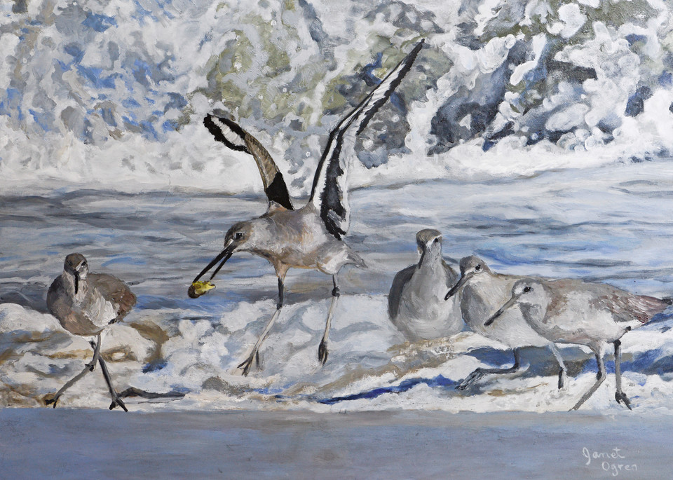 Willets and Waves Painting, Janet Ogren