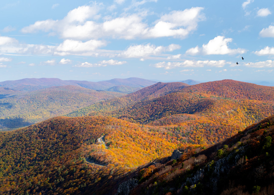 Skyline Drive as Seen from Stoney Man Summit is Shenandoah National Park, Virginia During Autumn - Fine Art Photo Print