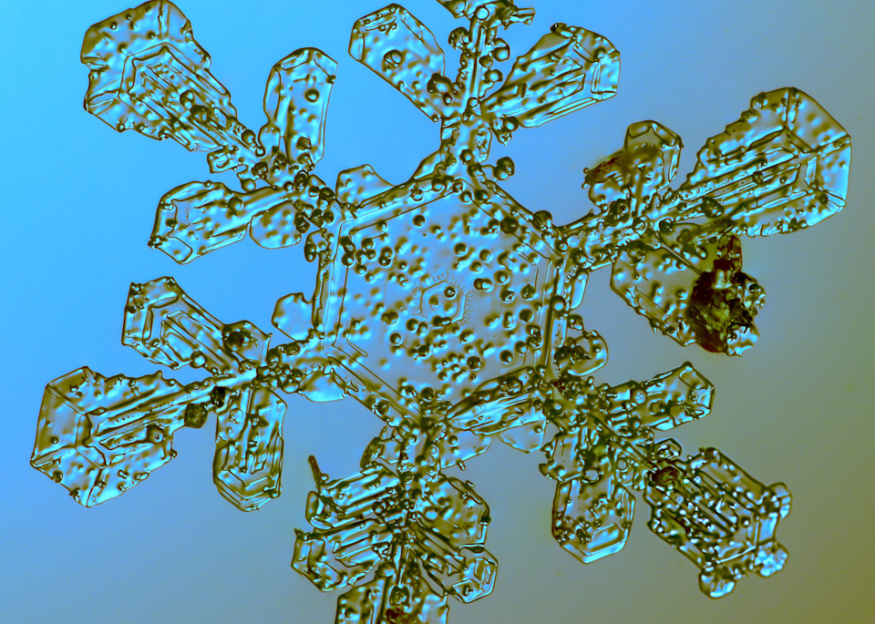 Teal And Gold Rimey Snowflake Photography Art | Real Snowflake Photography LLC