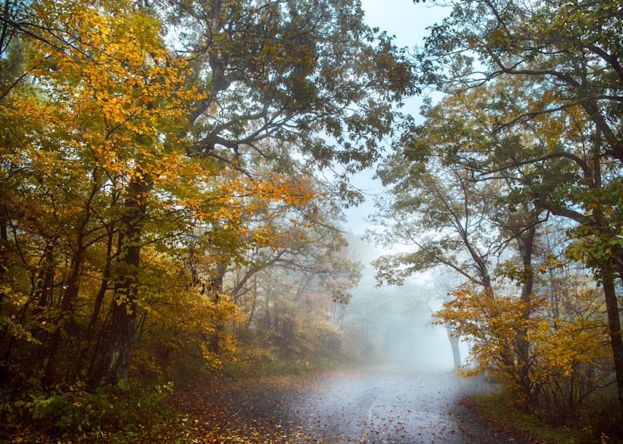 Foggy Road through an Autumnal Forest in Virginia - Fine Art Print