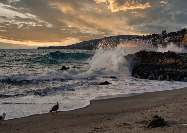 Victoria Beach/Laguna Beach, Ca Ocean View 2 Photography Art | Audrey Nilsen Studios