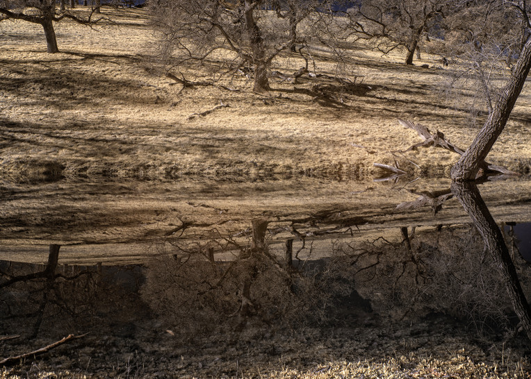 Reflections In An Ephemeral Pond, Spenceville Wildlife Refuge, Yuba County, Ca Photography Art | davidarnoldphotographyart.com