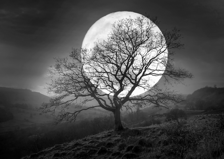 Harv Greenberg Photography - Harvest Moon I