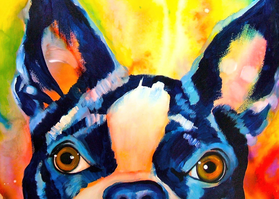 Boston Terrier 3 Art | Art by Melanie Anderson