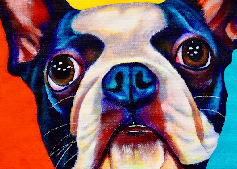 Boston Terrier 2 Art | Art by Melanie Anderson