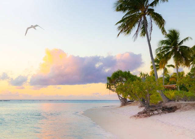 Pastel Sunset, Tropical Photography, Tahiti, Island Paradise, Turquoise Water, Coastal Wall Art, Beach Wall Decor, Palm Tree Print