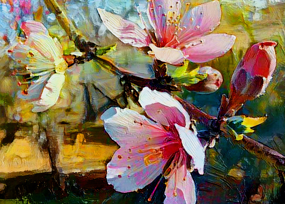 Wild Texas Peach Blossoms Art | SkotoArt