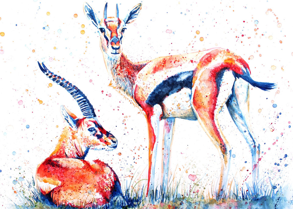 Safari Collection - Thompson Gazelles
