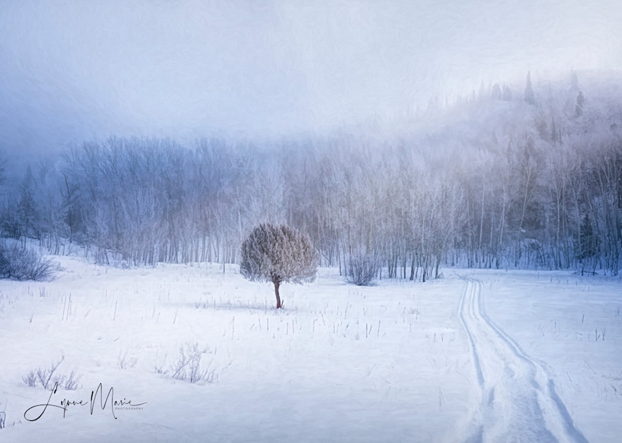 A Foggy Winter Day Photography Art | Lynne Marie Photography