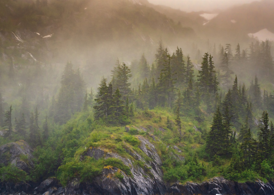 Alaskan Fog Photography Art | Christabel Devadoss Photography