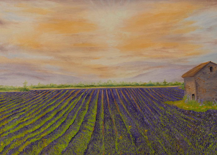 Lavender Field Art |  Antonio Davis Imagine the Possibilities Studio