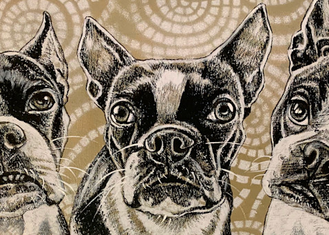 Boston Terriers 3 Art | Art by Melanie Anderson