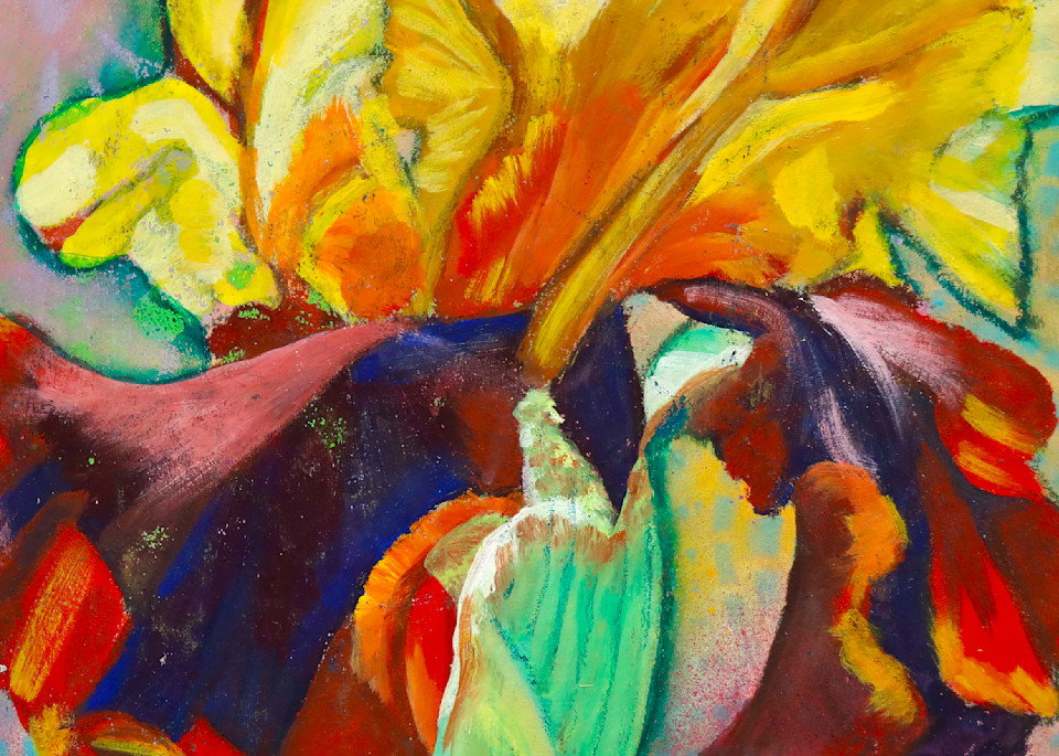 Yellow Iris Art | Art by Melanie Anderson
