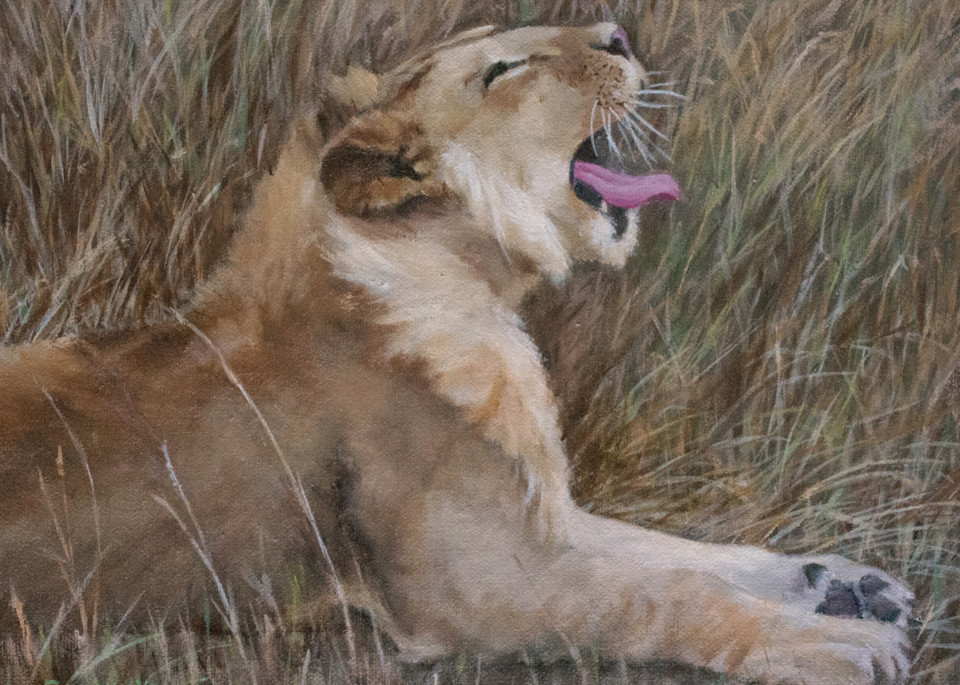Lioness Awakening Art | Gwenn Knapp Artist
