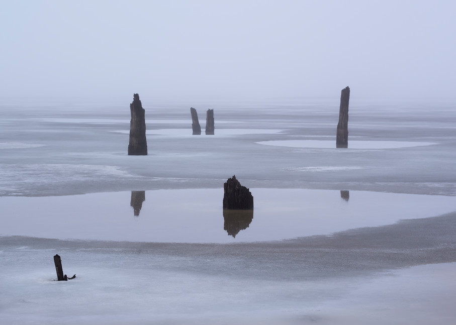 Winter Fog Tree Stump Reflections (Landscape)