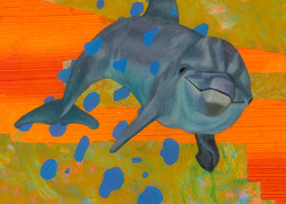 Dolphin Art | Art by Heather Stadler