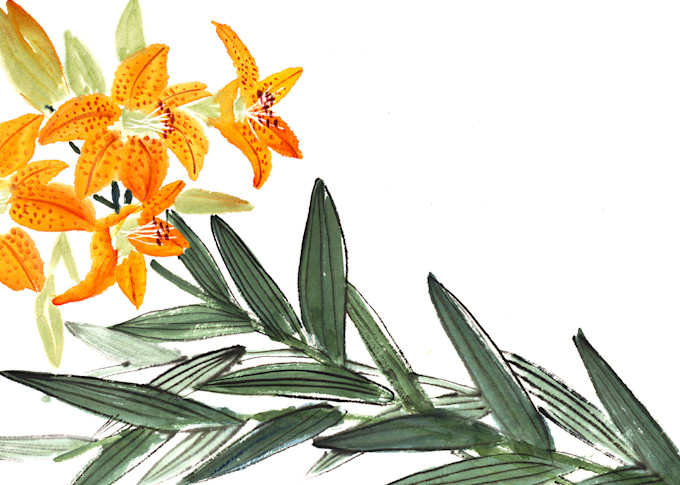 Tiger Lilies for Mugs