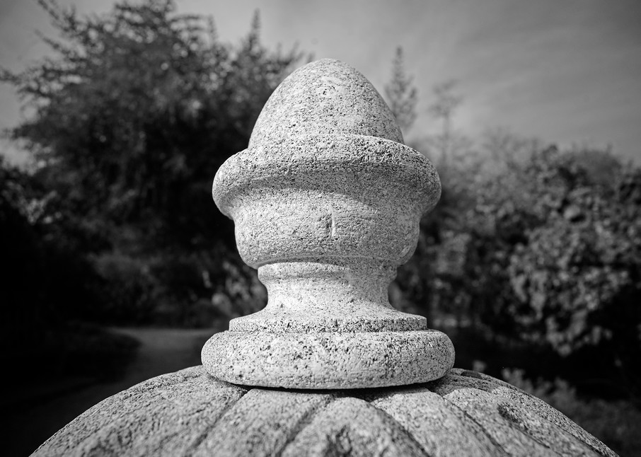 Garden Detail, #12